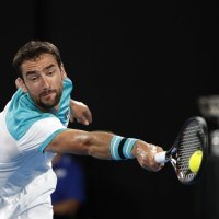 marin čilić