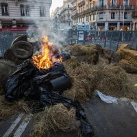 Prosvjedi u Toulouseu (3)