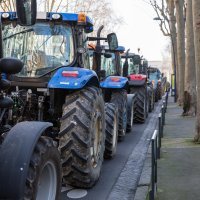 Prosvjedi u Toulouseu (6)