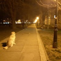 Galaxy A8 (2018)  - primjeri fotografija