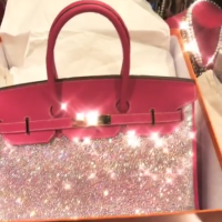 Birkenica Paris Hilton