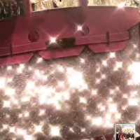 Birkenica Paris Hilton