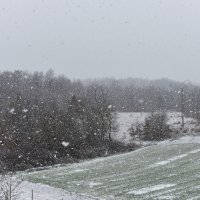 Snijeg na autocesti između Pazina i Kanfanara