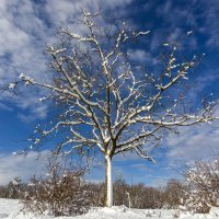 Snijeg zabijelio Istru