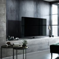 Panasonic FX780E