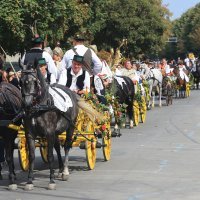 Vinkovačke jeseni 2017.