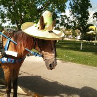 Da sunce ne udari u glavu