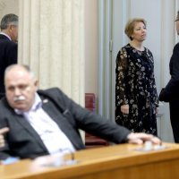 Andreja Metelko Zgombić