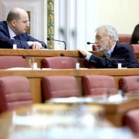 Ivan Celić, Goran Dodig