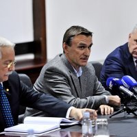 Gojko Berlengi, Andro Krstulović Opara