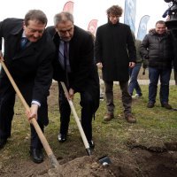 Damir Boras, Milan Bandić