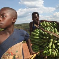 Burundi u istočnoj Africi