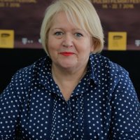 Pulski filmski festival