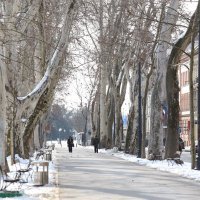 Temperatura od -7 stupnjeva C i hladni vjetar najavili polarni val