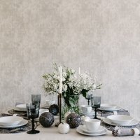 Mirjana Mikulec- Nova linija tanjura