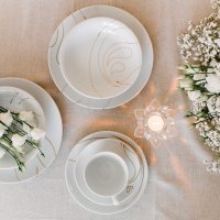 Mirjana Mikulec- Nova linija tanjura