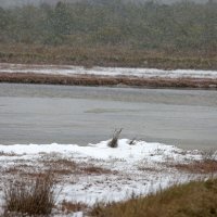 Tisno: Zaleđeno more u uvali Ivinje