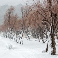 Zaleđena riva u Bakru