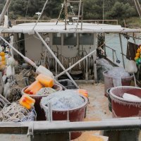 Val hladnoće stigao u Istru