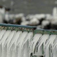 Hladnoća na Ženevskom jezeru