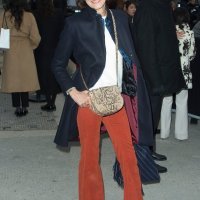 Inès de La Fressange