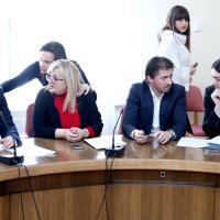 Nikola Grmoja, Ines Strenja Linić, Ivan Vilibor Sinčić