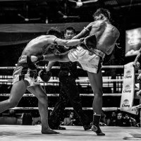 Paul Lukin Posljednji dani Lumpineea