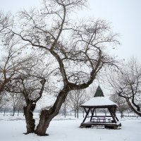 Iznimno niske temperature zaledile su jezero Jarun
