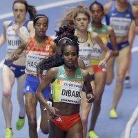 Genzebe Dibaba (2)