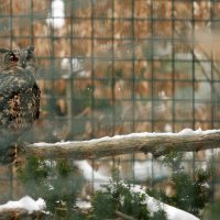 Zima u Zoološkom vrtu grada Zagreba
