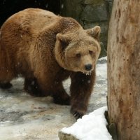 Zima u Zoološkom vrtu grada Zagreba