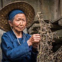 Vlasta Gorup, Soya picker, 2017.