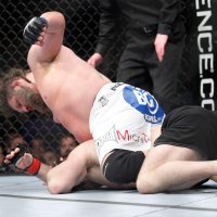 Mirko Filipović i Roy Nelson