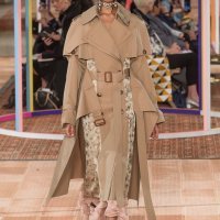 Alexander McQueen RTW Spring 2018