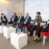 Rasprava o drvnoj industriji u Hrvatskoj