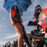 MotoGP grid girls