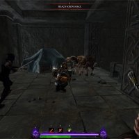 Warhammer End Times: Vermintide 2