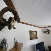 Lovno gospodarstvo Moslavina, Lovište Zapadna Garjevica