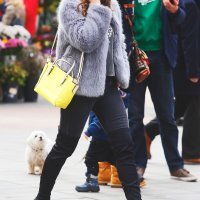 Zagrebačka špica (02)