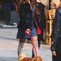 Zagrebačka špica (03)