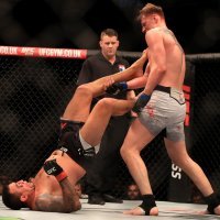 Alexander Volkov i Fabricio Werdum (2)