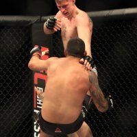 Alexander Volkov i Fabricio Werdum (3)