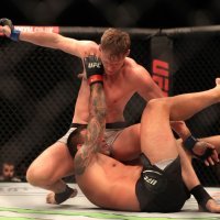 Alexander Volkov i Fabricio Werdum (6)