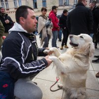 Osijek: Prosvjed zbog trovanja životinja