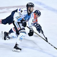 Medveščak - Linz (4)