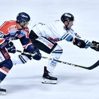 Medveščak - Linz (5)