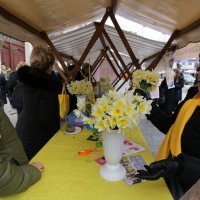 Osijek: Obilježen Dan narcisa