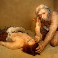 Muzej krapinskog neandertalca