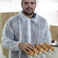 Proizvodnja jaja u Luneti