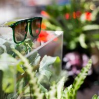 Boris Banović naočale